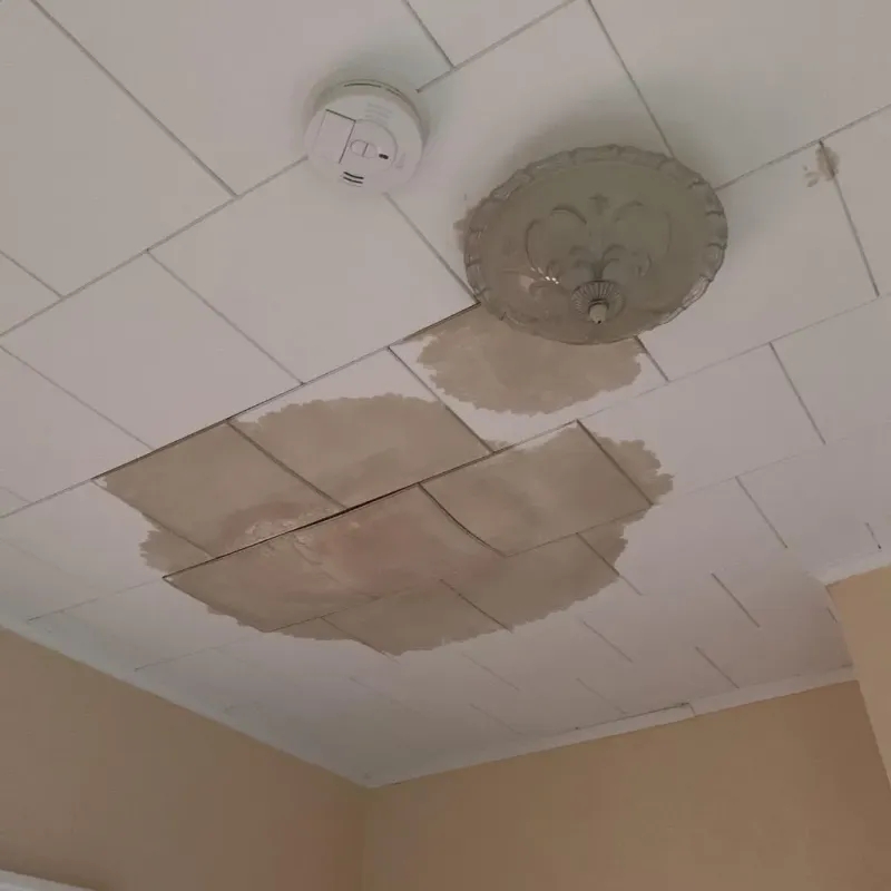 Ceiling Water Damage Repair in West Liberty, OH