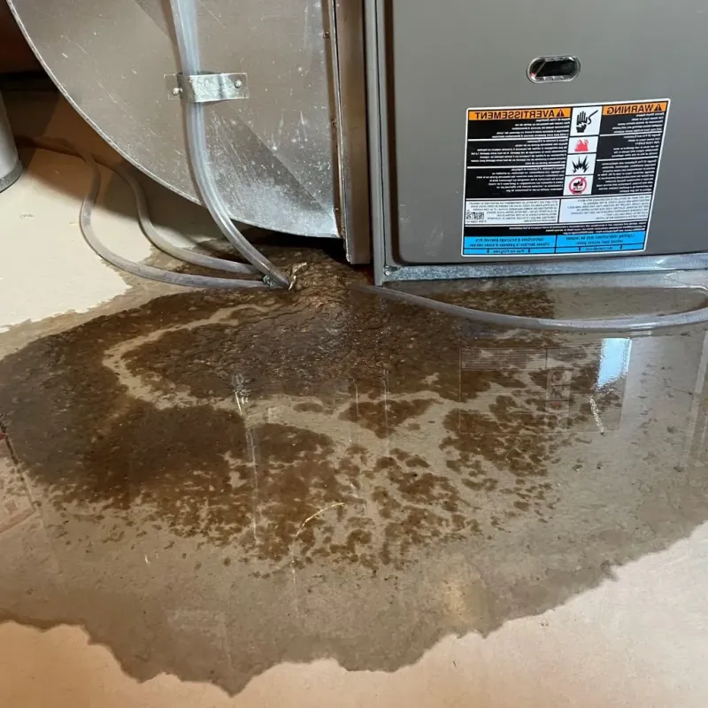 Pipe Burst and Leak Restoration in West Liberty, OH