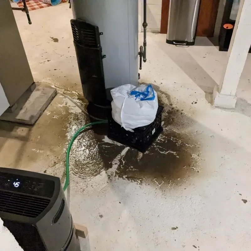 Sewage Backup Cleanup Service in West Liberty, OH